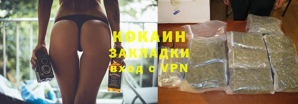 трава Няндома