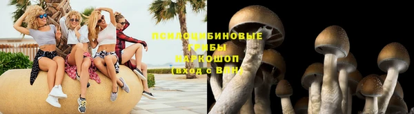 spice Нязепетровск