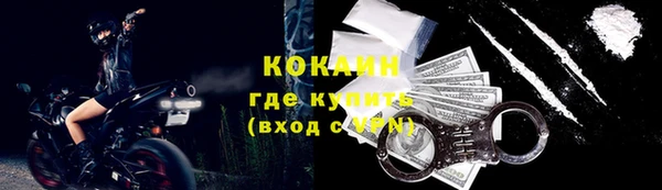 трава Няндома