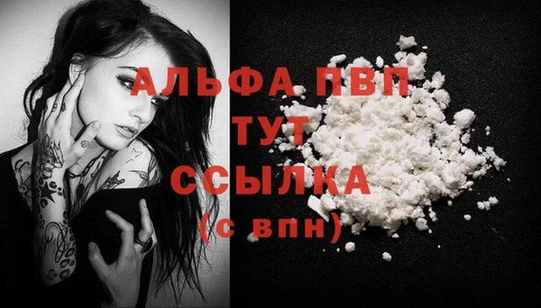 трава Няндома