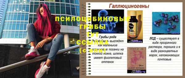 альфа пвп Новозыбков