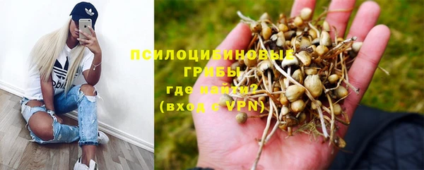 трава Няндома