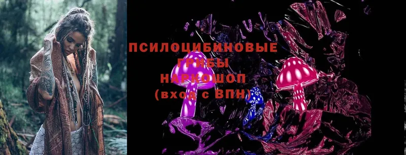 Псилоцибиновые грибы MAGIC MUSHROOMS  Киселёвск 