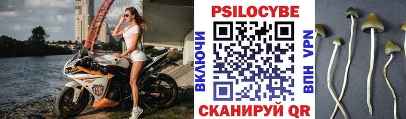 даркнет телеграм  Киселёвск  Галлюциногенные грибы Psilocybine cubensis 