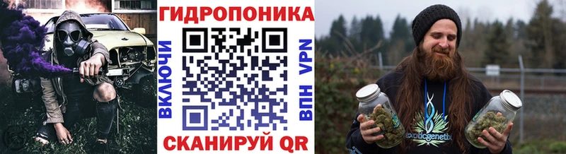 где купить наркоту  Киселёвск  Шишки марихуана SATIVA & INDICA 